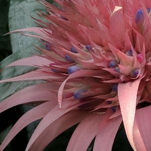 Meet your Posher, Kait